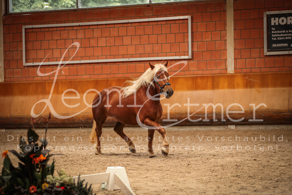 SaFL00489 | Leoni Ertmer Photography - Realisiert mit Pictrs.com