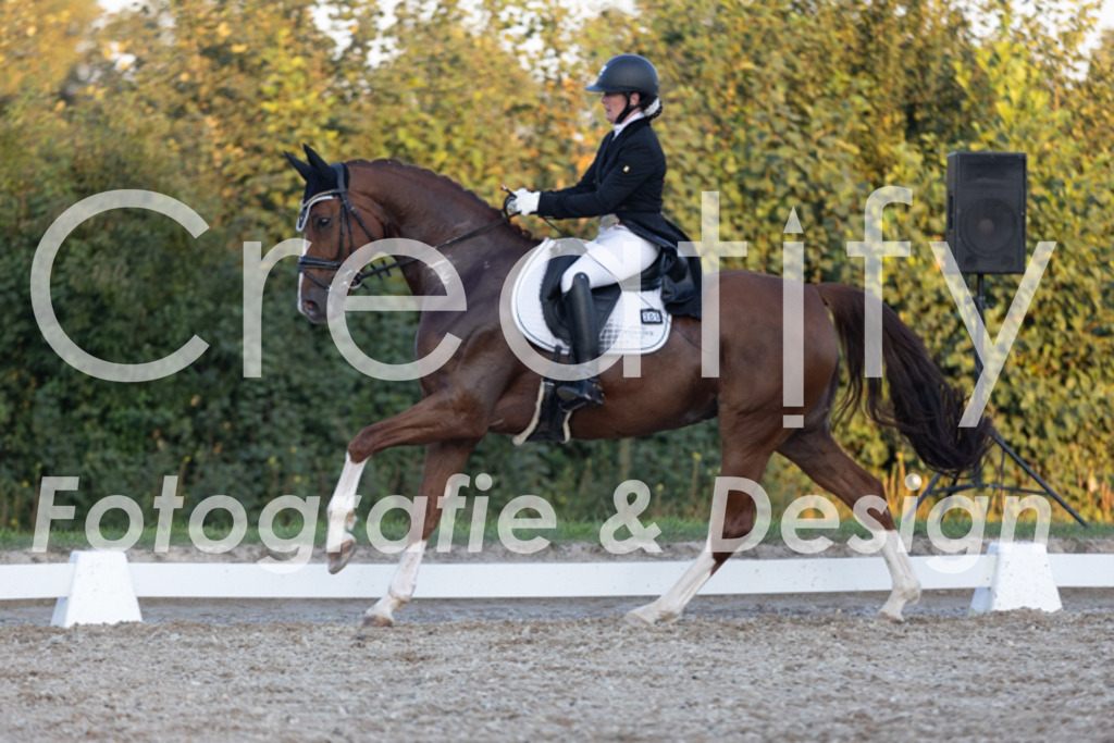 IMG_1902 | Creatify Fotografie