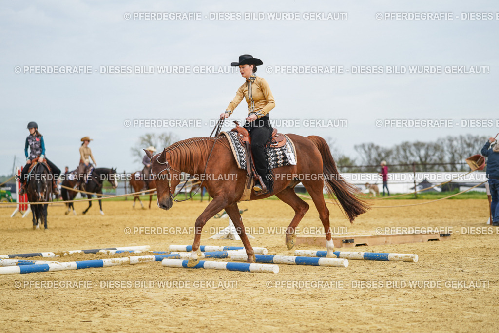 DSC03348 | Pferdegrafie