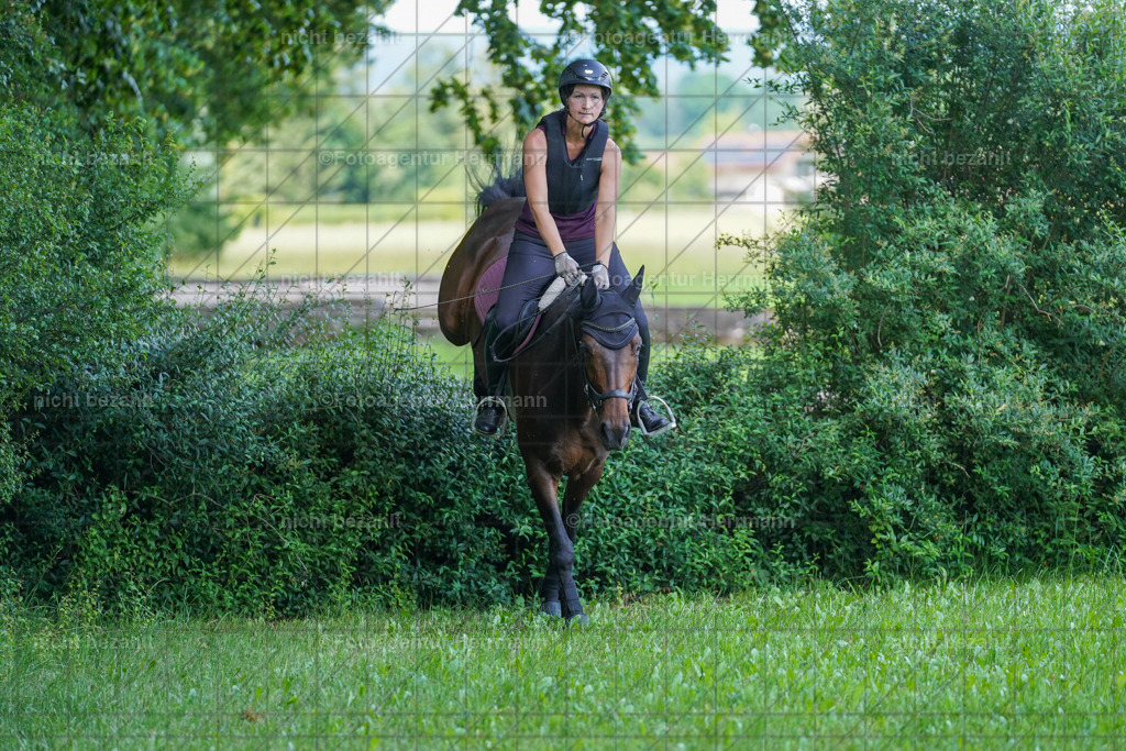 20240622-FAH07714 | Turnierfotografen Bayern, Reitsportbilder aus dem Geländekurs mit Felix Etzel auf dem Gut Waitzacker 2024