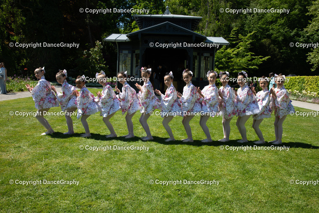 GPHY3865 | DanceGraphy - Realisiert mit Pictrs.com