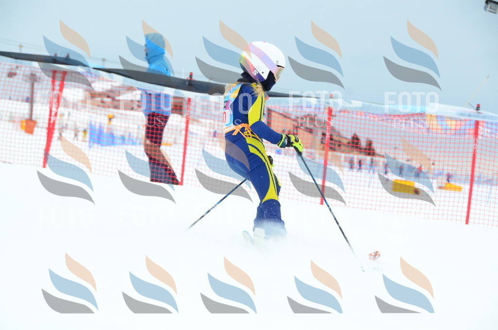 DSC_1120 | holidayphoto