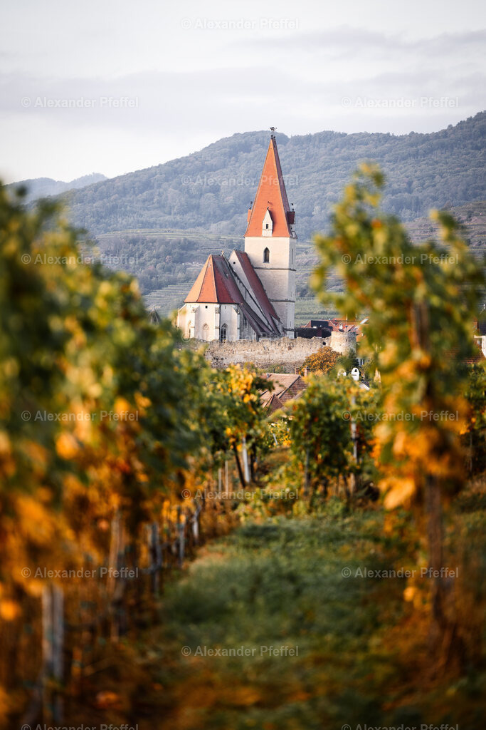 foto_c_pfeffel-partner-0055-R52_0022-Bearbeitet | alexander-pfeffel - Realisiert mit Pictrs.com