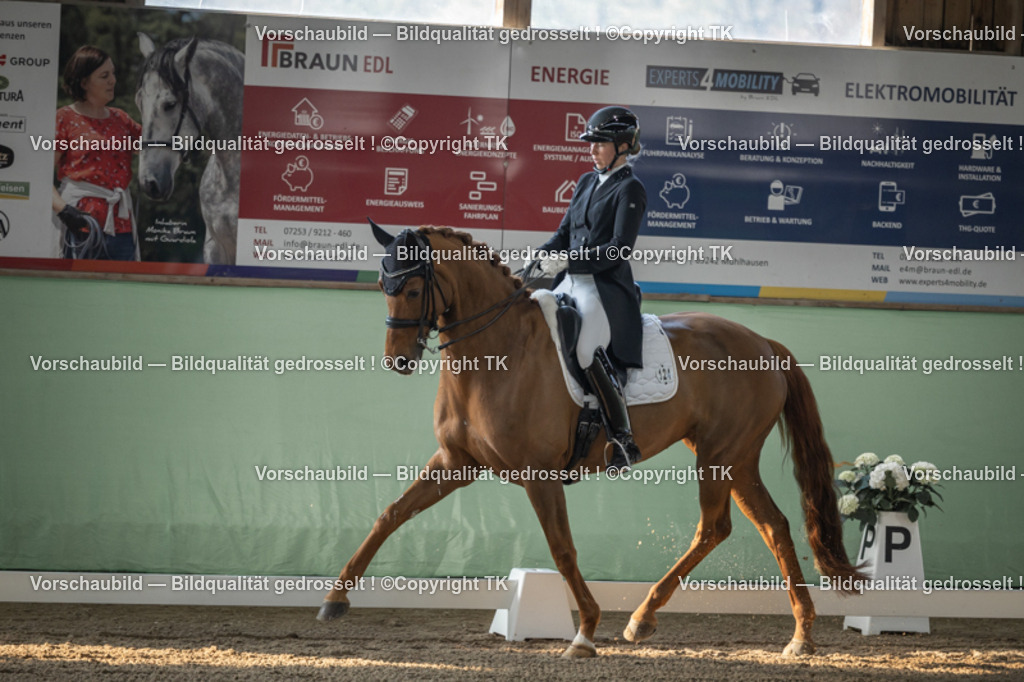 _D5A8075 | Emotionale Pferde- & People-Fotografie rund um Heidelberg, Leimen & Umgebung. Natürliche Fotos von Pferd, Mensch & Familie. Jetzt Termin sichern!