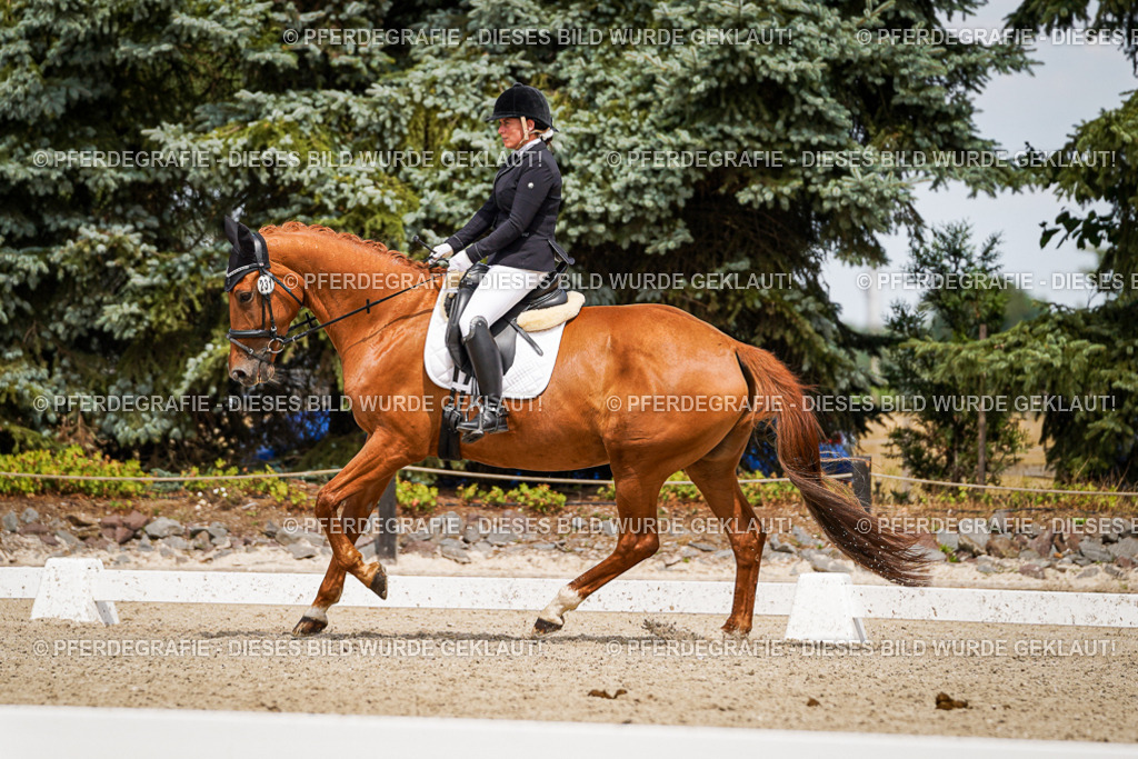 DSC03918 | Pferdegrafie