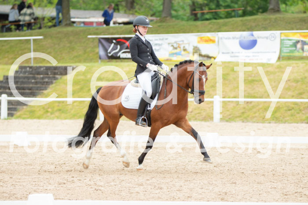 IMG_9881 | Creatify Fotografie