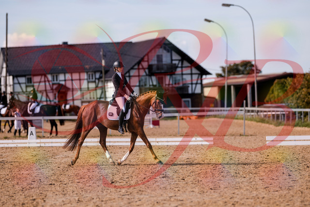 2026_10_03_Siefer-Hof_133153_Z81_87140855 | Professionelle Reitsport-, Turnier- und Eventfotografie von Robert Broda. Galerien mit ausgewählten und bearbeiteten Bildern direkt online ansehen und bestellen.