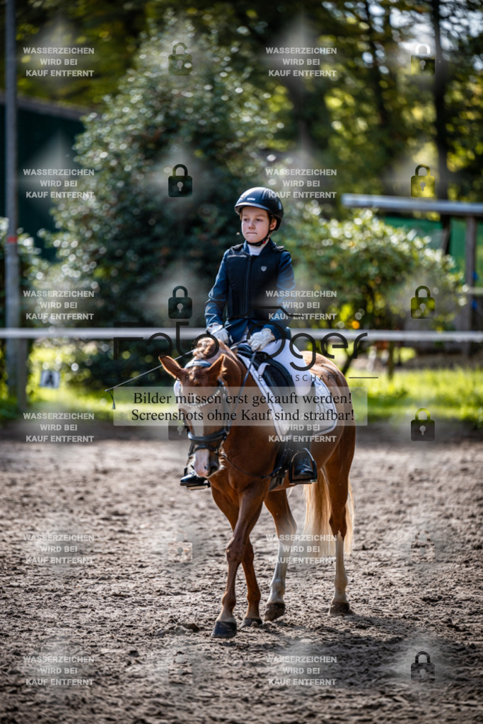 2026-10-Helle-20-4-0044 | Entdecke hochwertige Reitturnierfotos von Foto Oger. Professionell, emotional und authentisch – jetzt Lieblingsmomente im Shop bestellen.Deutschlandweite Turnierfotografie. - Realisiert mit Pictrs.com