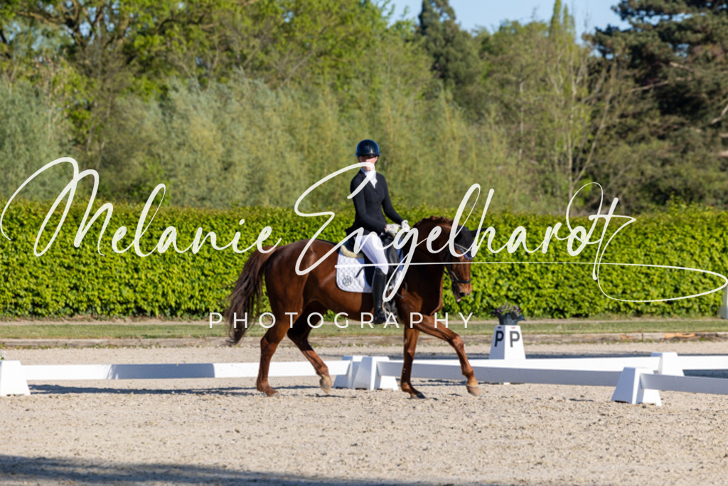 7I8A8323 | melanie-engelhardt-photography - Realisiert mit Pictrs.com