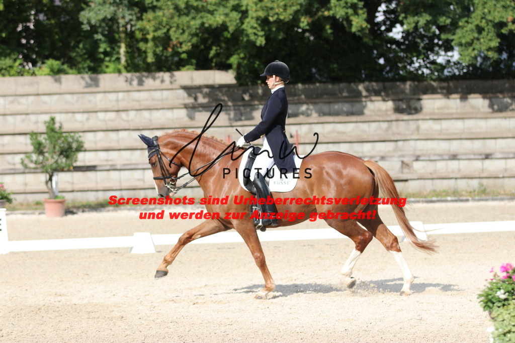 IMG_6466 | lmwpictures - Realisiert mit Pictrs.com