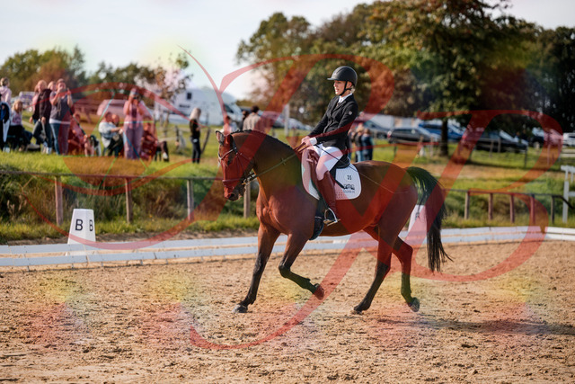 2026_10_03_Siefer-Hof_131001_Z63_72009456 | Professionelle Reitsport-, Turnier- und Eventfotografie von Robert Broda. Galerien mit ausgewählten und bearbeiteten Bildern direkt online ansehen und bestellen.