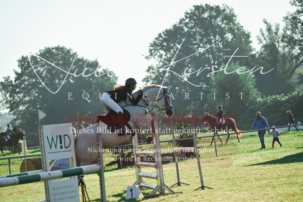 DSC_4032 | Pferde- und Turnierfotografie in Westsachsen. Pferdeportraits, Auftragszeichnungen und intuitive Kunst.
