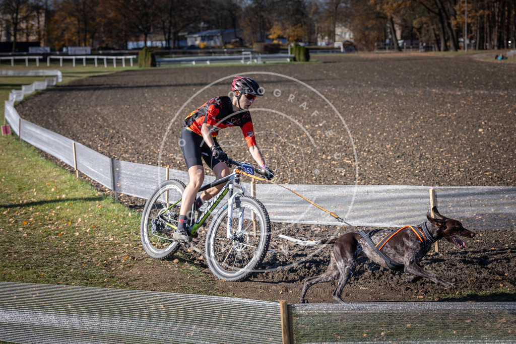CaniXpix_DV3A7219 | Hundefotografie, Tierfotograf, Pfotenfotografie, Fotoshooting Hund, Hunde Portrait, Hundesport, Hundeportraits, Heideshooting, Hunde, Sportfotograf, Hundefotograf, Turnierhundsport, THS,  - Realisiert mit Pictrs.com