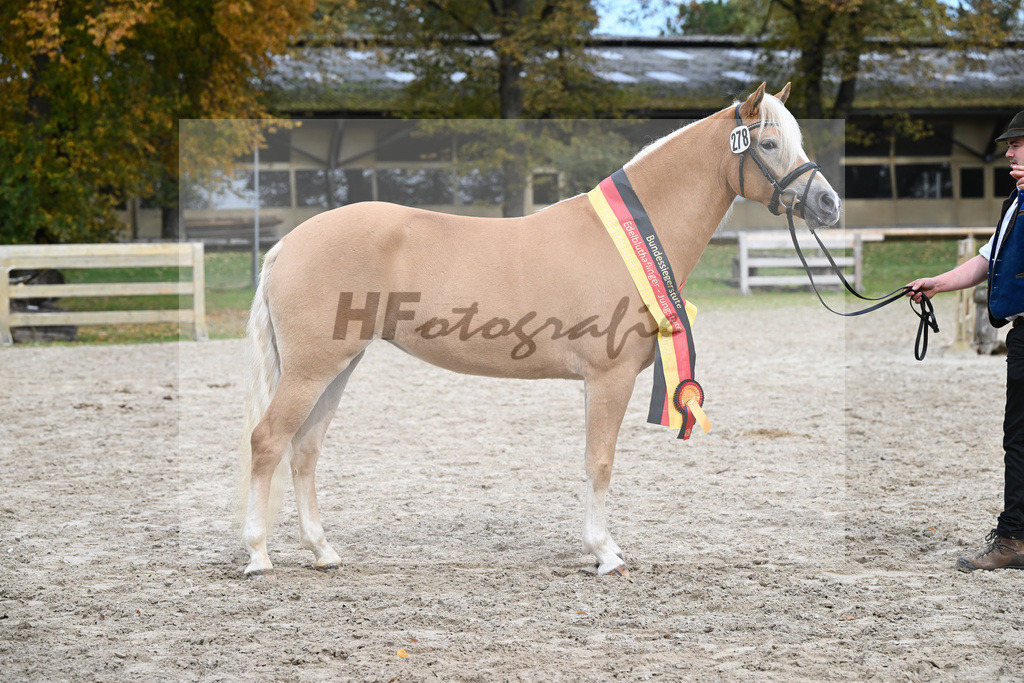 Kat-Nr. 278 Daria_Obermaier_54223391 | hf-fotografie - Realizzato con Pictrs.com