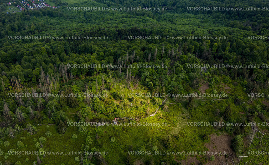 Horn-BadMeinberg240505818LippischerVelmerstot_TeutoburgerWald | Luftbild, Wandergruppe macht Rast in einem Waldstück am Eggeosthang, Waldschäden, Teutoburger Wald, Leopoldstal, Horn-Bad Meinberg, Ostwestfalen, Nordrhein-Westfalen, Deutschland