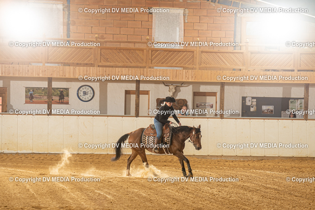 MIT00340 | dv-media-shop - Realisiert mit Pictrs.com