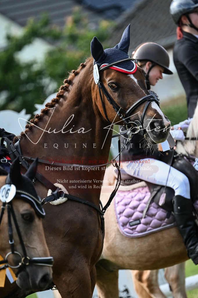 DSC_8677 | Pferde- und Turnierfotografie in Westsachsen. Pferdeportraits, Auftragszeichnungen und intuitive Kunst.