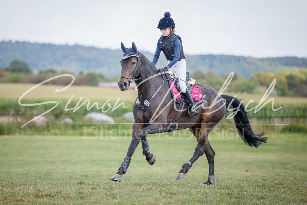 20250905-_3LI1902 | Tierfotografie Pferde, Hunde, Katzen, Haustiere.
Turnierfotografie Reitturniere, Reiten, Springreiten, Dressur in Hanau, dem Main-Kinzig-Kreis und dem Rhein-Main- Gebiet um Frankfurt