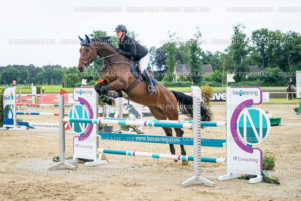 DSC04705 | Pferdegrafie