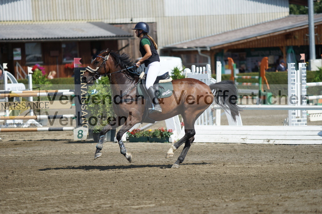 DSC01534 | equestrian-live-com