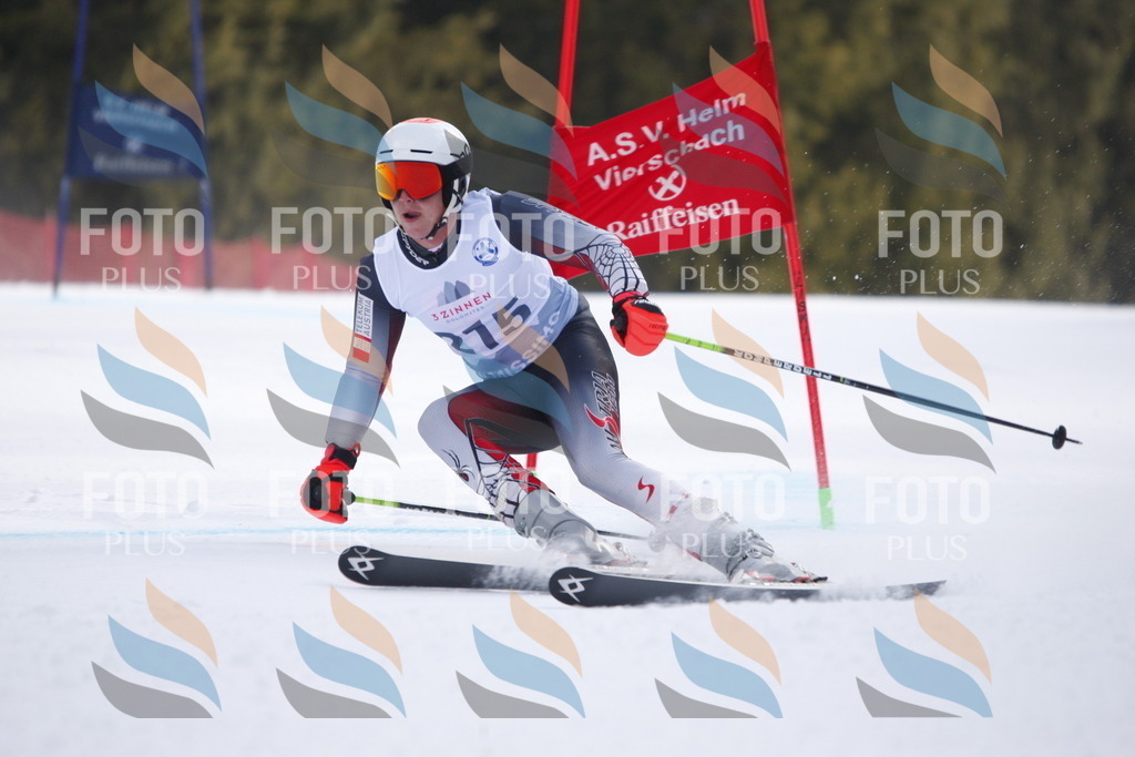 D8317 | holidayphoto