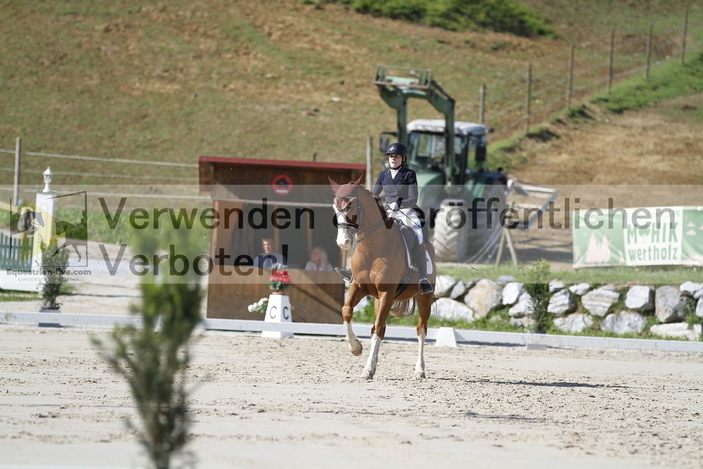 _MG_3015 | equestrian-live-com