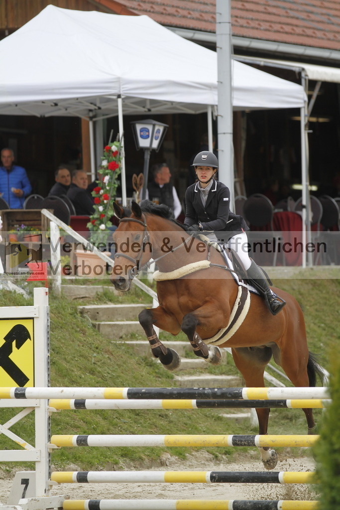 _MG_1294 | equestrian-live-com