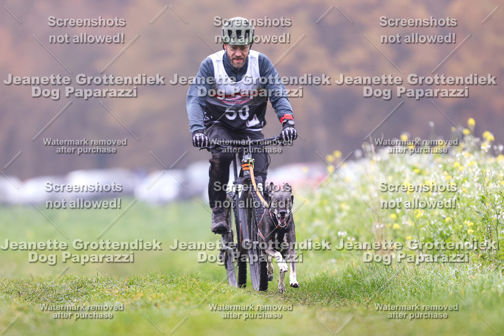 Dog Paparazzi - Visbeck 25 -147 | Dog Paparazzi Jeanette Grottendiek Fotografie & Videografie - Realisiert mit Pictrs.com