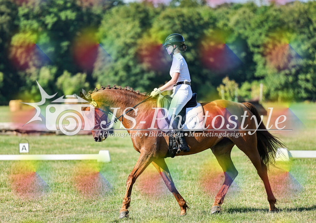 20260628_14a_VA_Dressur-74 | JS-Photostyle - Sport-/Portrait- & Eventfotografie