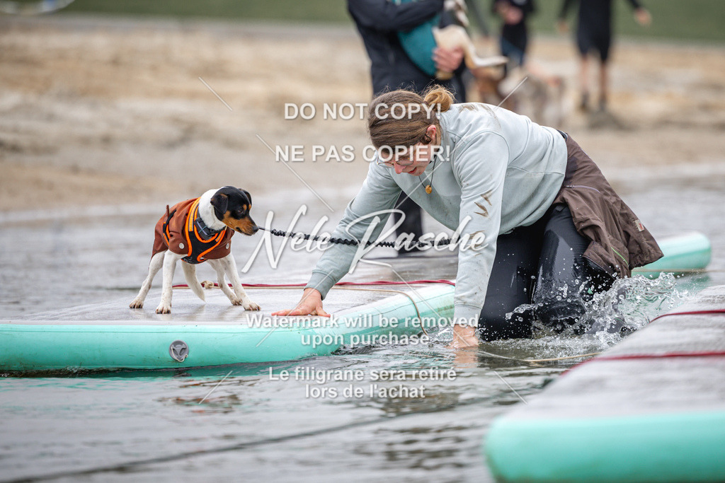 nelerasche_Hulsbeek_Sa1030-1100_469 | nelerasche