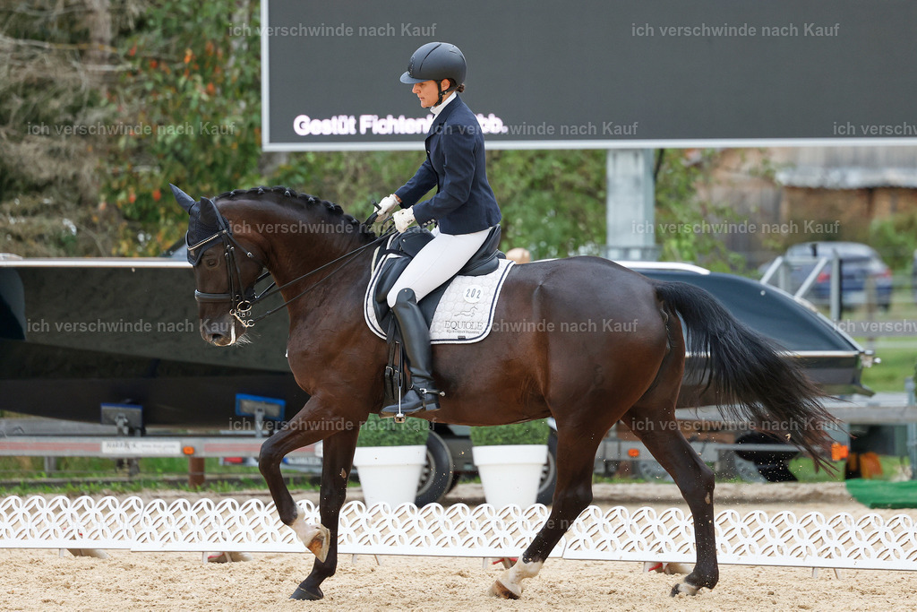 04_2-202-Dressur M__ -StoibPH-2936 | working equitationturnier fotograf videograf stoibphotography marixx film working equitation deutschland reitsport turnierfotografie eventfotografie equestrian events