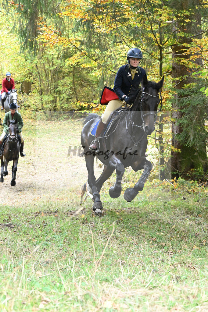 5622632 | hf-fotografie - Realisiert mit Pictrs.com