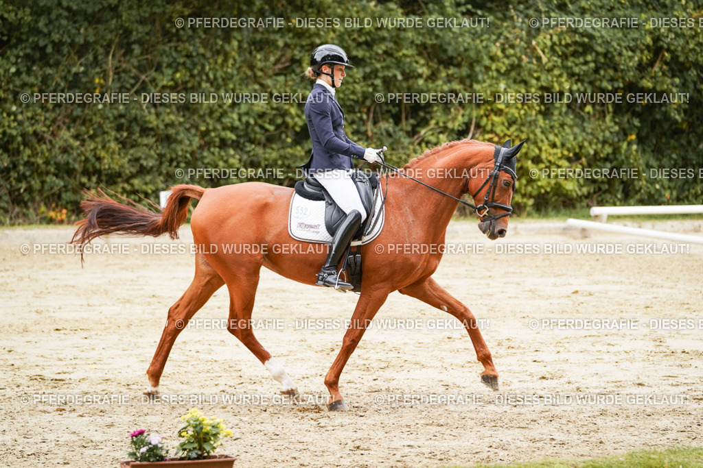 DSC00009 | Pferdegrafie