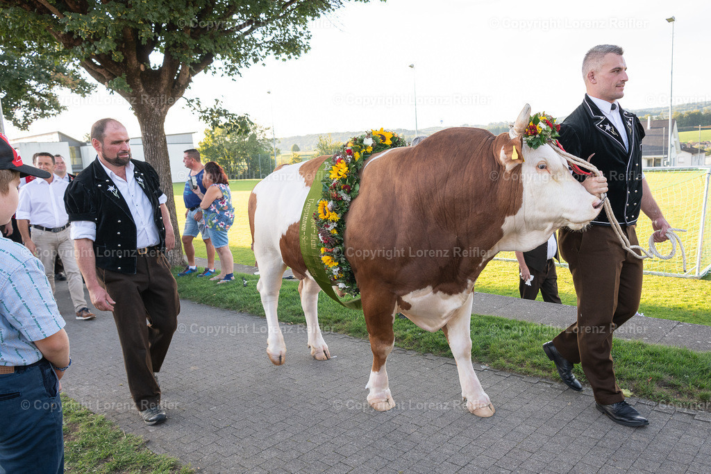 Schwingen -  Unspunnen Empfang 2023 | Wigoltingen, 2.9.23, Schwingen - Unspunnen Empfang.