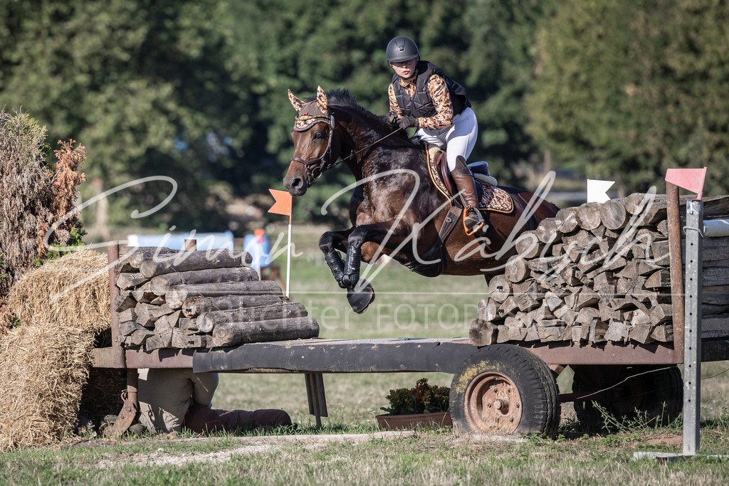 20260906-_3LI1814 | Tierfotografie Pferde, Hunde, Katzen, Haustiere.
Turnierfotografie Reitturniere, Reiten, Springreiten, Dressur in Hanau, dem Main-Kinzig-Kreis und dem Rhein-Main- Gebiet um Frankfurt