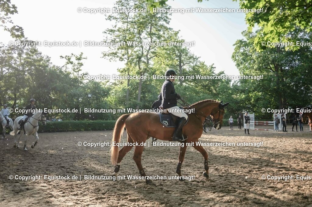 DSC_8689 | equistock