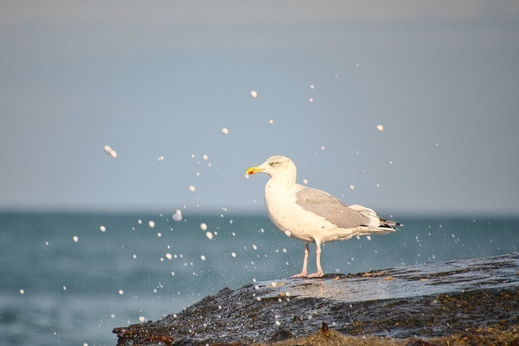 ZFC_7592 | Unvergessliche Erinnerungen in Bildern festgehalten! Ob Hochzeit, Shooting oder Landschaft  - Ich bin dein Fotograf in Erfurt und Umgebung! Photo-Rauch | Sandro Rauch - Realisiert mit Pictrs.com