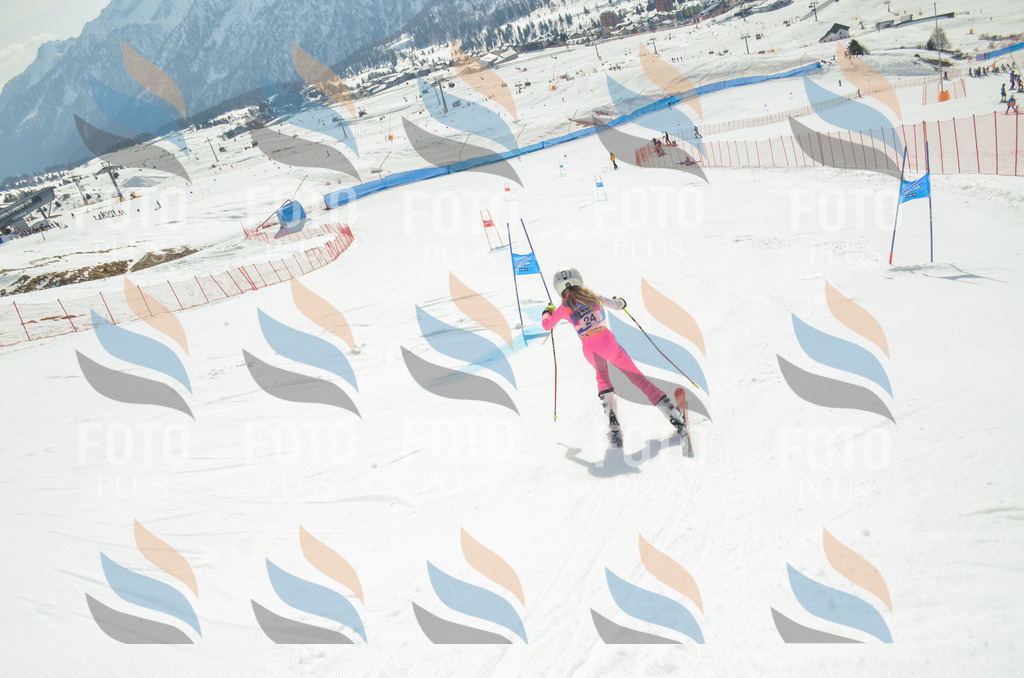 _ELE4790 | holidayphoto