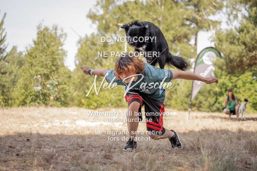 nelerasche_soDD2_346 | nelerasche