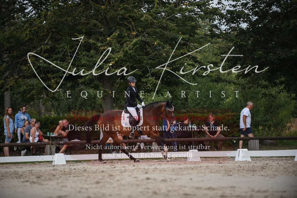 DSC_8540 | Pferde- und Turnierfotografie in Westsachsen. Pferdeportraits, Auftragszeichnungen und intuitive Kunst.