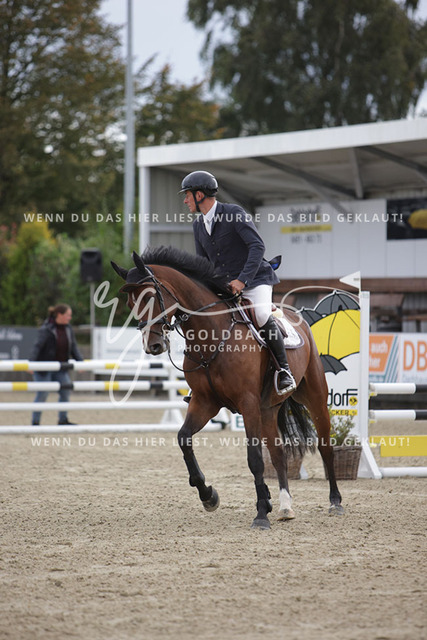 1J2A8775Andreas Erni_ Ussuri 18_ Kn960_ Havekost | Foto- und Videografie für alles rund ums Pferd. Hochwertige Bilder und Videos vom Spring- und Dressurreiten, Voltigieren & mehr. Jetzt aktuelle Veranstaltungen und Preise im Shop ansehen. - Realisiert mit Pictrs.com