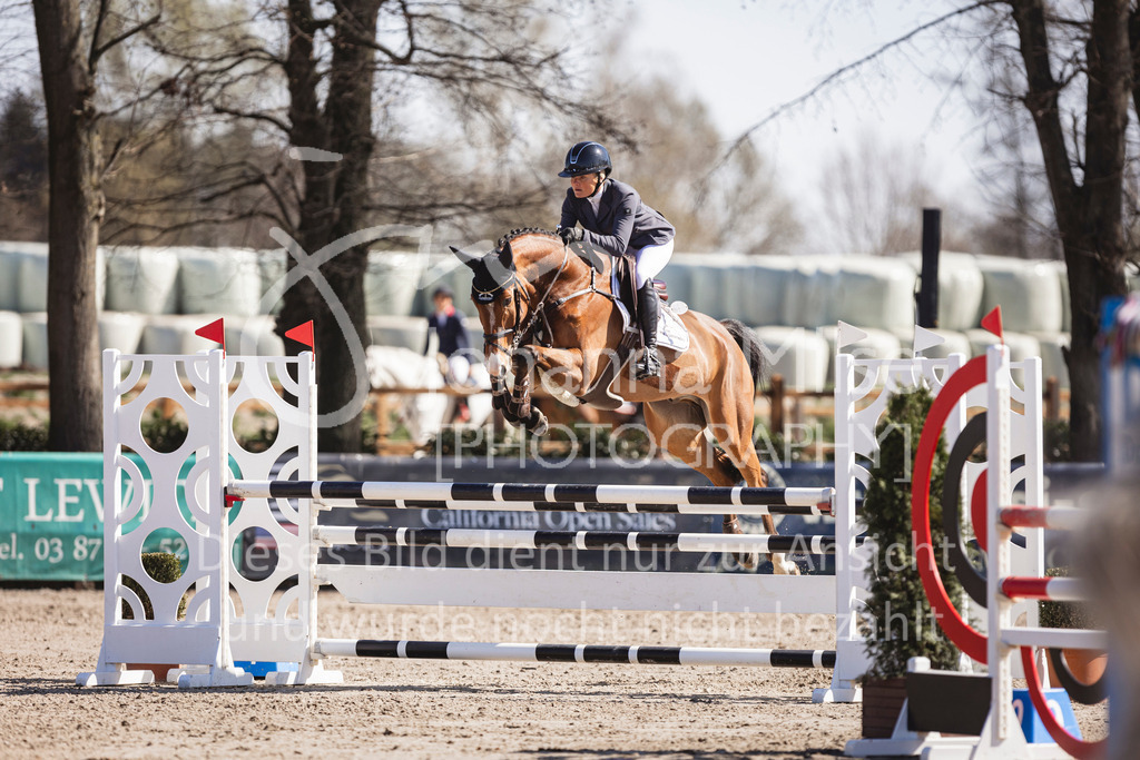 250408_Mühlen_SprPf-L-412 | Deine schönsten Turniermomente als professionelle Fotos! Entdecke hochwertige Pferdesport-Fotografie im Online-Shop. Jetzt Fotos finden & bestellen!