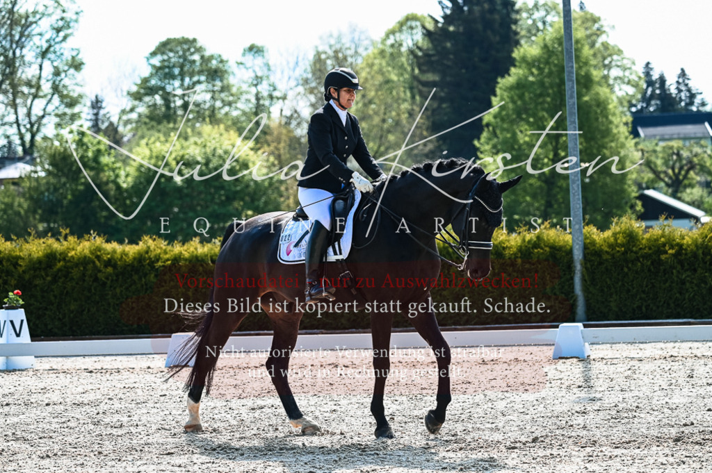 20230513_JK-Röhrsdorf-10-0195 | Pferde- und Turnierfotografie in Westsachsen. Pferdeportraits, Auftragszeichnungen und intuitive Kunst.