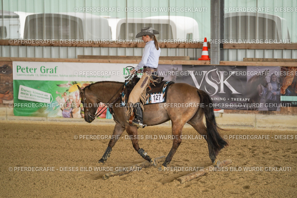 DSC02384 | Pferdegrafie