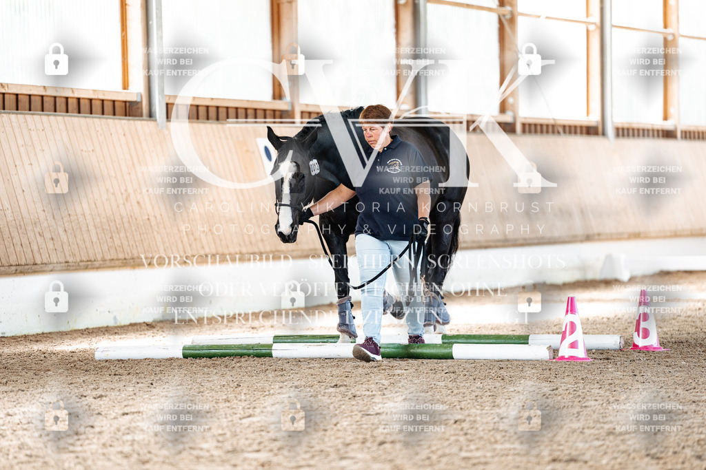 CK906230 | Turnierfotografie Pferdefotografie Trier Rheinland-Pfalz Pferdesport Reitsport Tierfotografie Sportfotografie Pferdevideo Pferdevideografie Equestrianvideography equestrianphotography  - Realisiert mit Pictrs.com