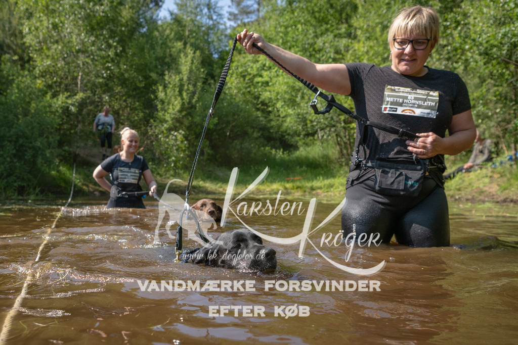 1626DKK990286 | kk-dogfotos