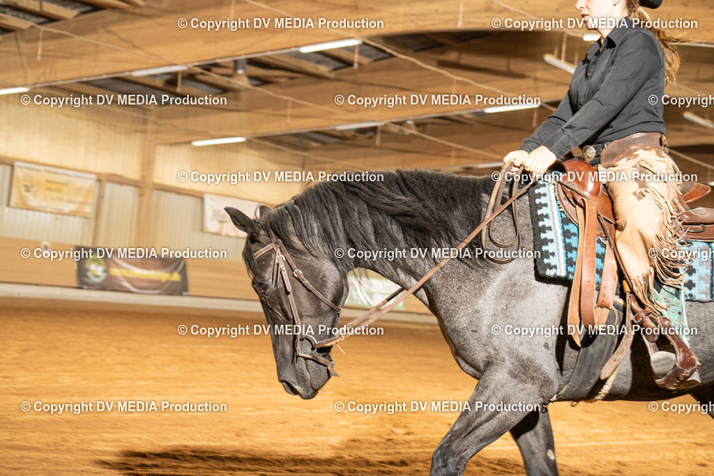 NID01370 | dv-media-shop - Realisiert mit Pictrs.com