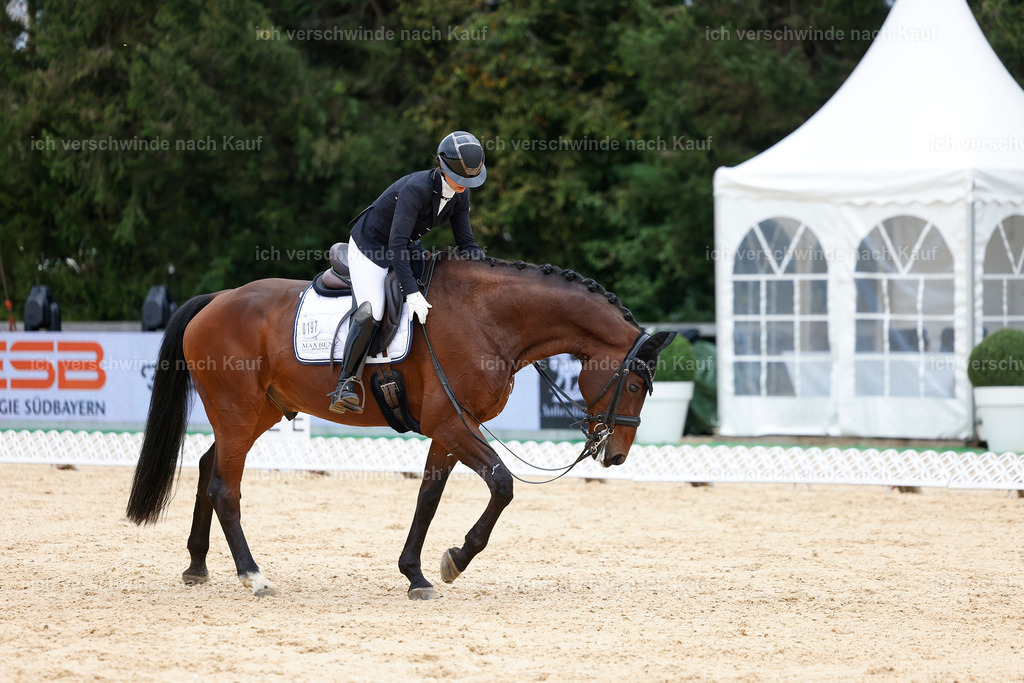 3-197-Dressur M_-StoibPH-2455 | working equitationturnier fotograf videograf stoibphotography marixx film working equitation deutschland reitsport turnierfotografie eventfotografie equestrian events