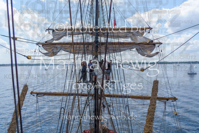 Windjammer24_MarinaHewig-4835 | Fotografie, FotoArt, PferdesportArt, Pferdesportfotografie, Landschaftsfotografie, Reisefotografie, Reise, Pferde - Realisiert mit Pictrs.com
