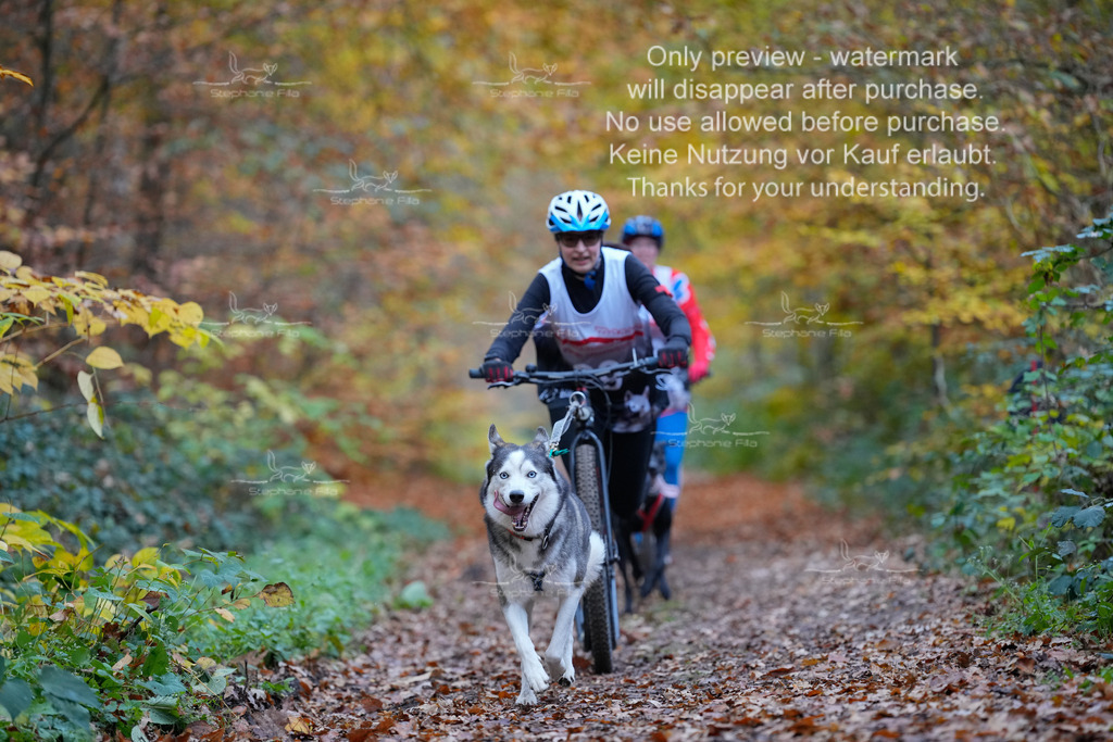 Scooter_So-64 | stephaniefillaphotographie - Realisiert mit Pictrs.com